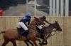 Oxford Polo 2023_01_22 0045
